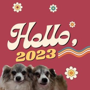 Hello 2023