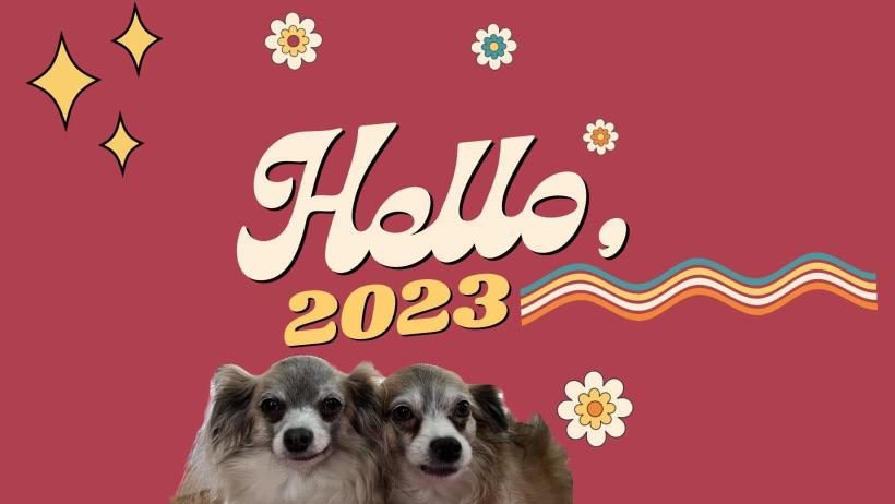 Hello 2023