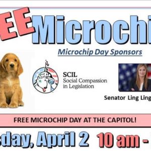 free microchip for pets
