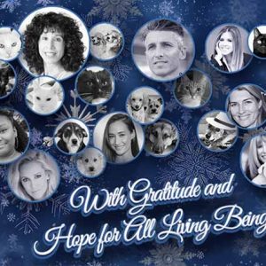 Happy Holidays from Social Compassion!
