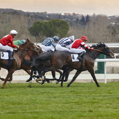 Horse race final rush. Competition sport. Hippodrome. Winner. Speed