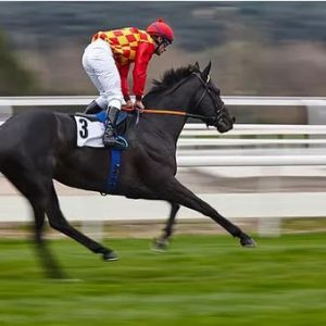Horseracing