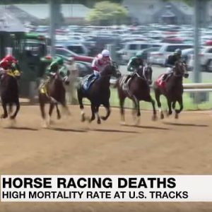 horses racing at the Kentucky Derby