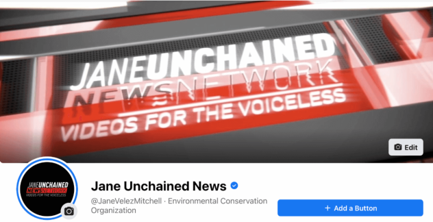 jane unchained