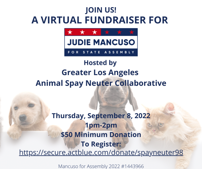 judie fundraiser september 8