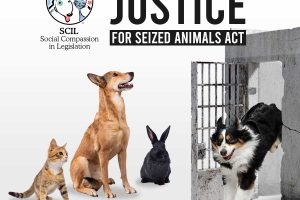 AB 2344, the Justice for Seized Animals Act