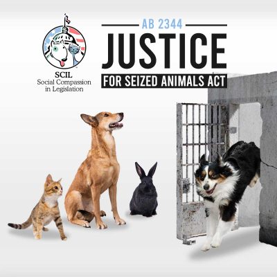 AB 2344, the Justice for Seized Animals Act