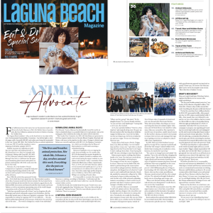Laguna Beach Magazine