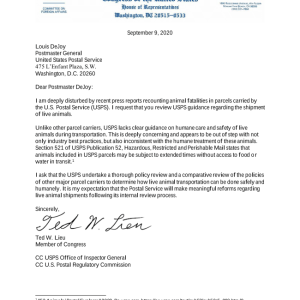 letter