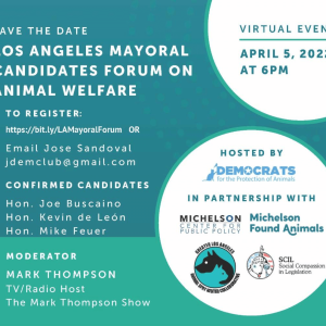 mayoral candidates