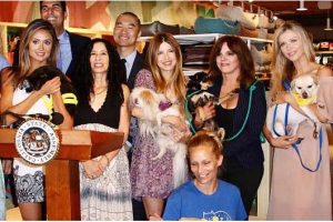 Pet Rescue and Adoption Act