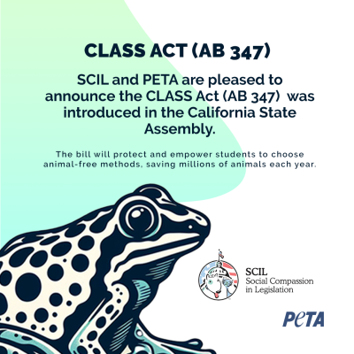 peta-class-action-ab-347-1