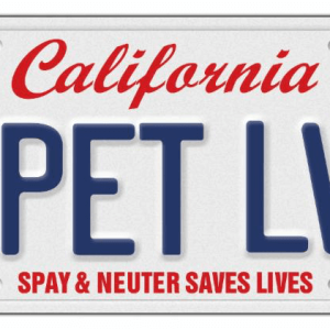 pet lover license plates