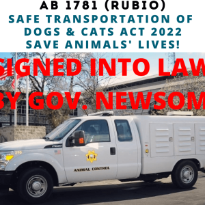 AB 1781 Rubio