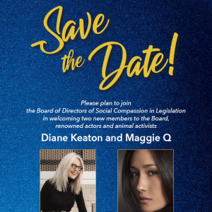 save the date diane keaton maggie q - cropped