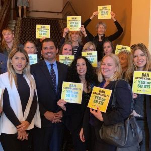 CALIFORNIA LEADS ON PROTECTING ANIMALS AGAIN AS BILL TO BAN IMPORTATION AND SALE OF EXOTIC ANIMALS CLEARS COMMITTEE VOTE