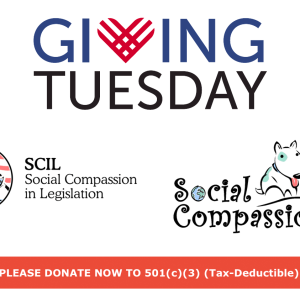 scil-giving-tuesday