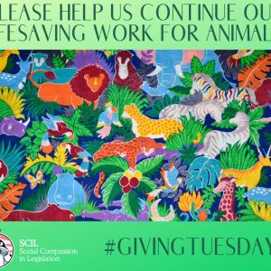 Giving Tuesday