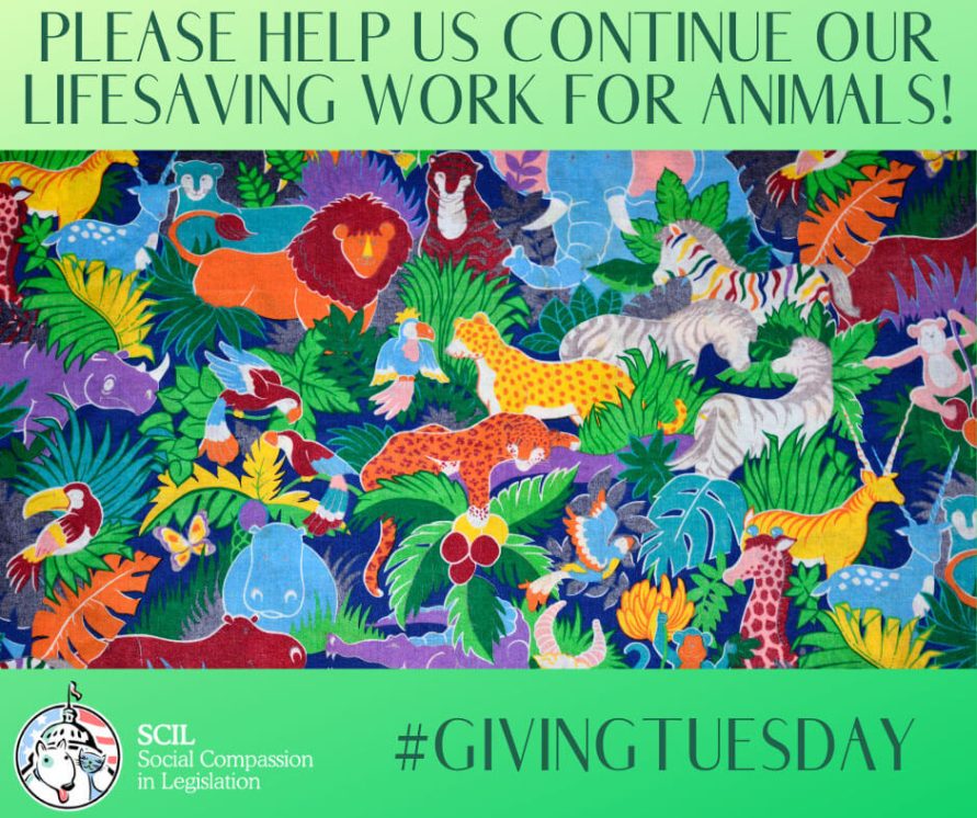 Giving Tuesday