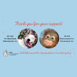thank you for your support