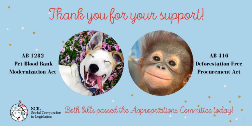 thank you for your support
