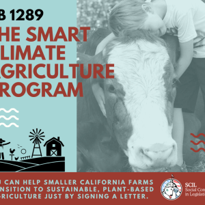 Smart Climate Agriculture Program