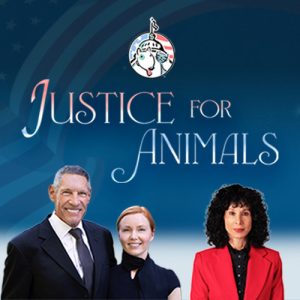 social-compassion-in-legislation-justice-for-animals-dr-gary-michelson-judie-mancuso-alya-michelson