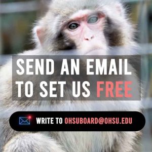 stop-oregon-animal-testing-on-primates-social-compassion-in-legislation