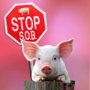 <a href="https://myemail.constantcontact.com/Press-Advisory-for-Monday--Need-You-for-Farmed-Animals-Federally-and-Statewide---Much-Watch--Must-Read--.html?soid=1101925750350&aid=UFKo3YwUqSo">Press Advisory for Monday! Need You for Farmed Animals Federally and Statewide – Much Watch, Must Read!</A>