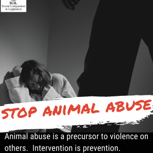 stopanimalabuse